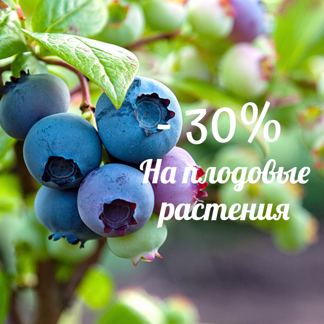 30% скидка на плодовые растения - Специальное предложение