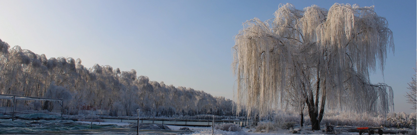 панарама