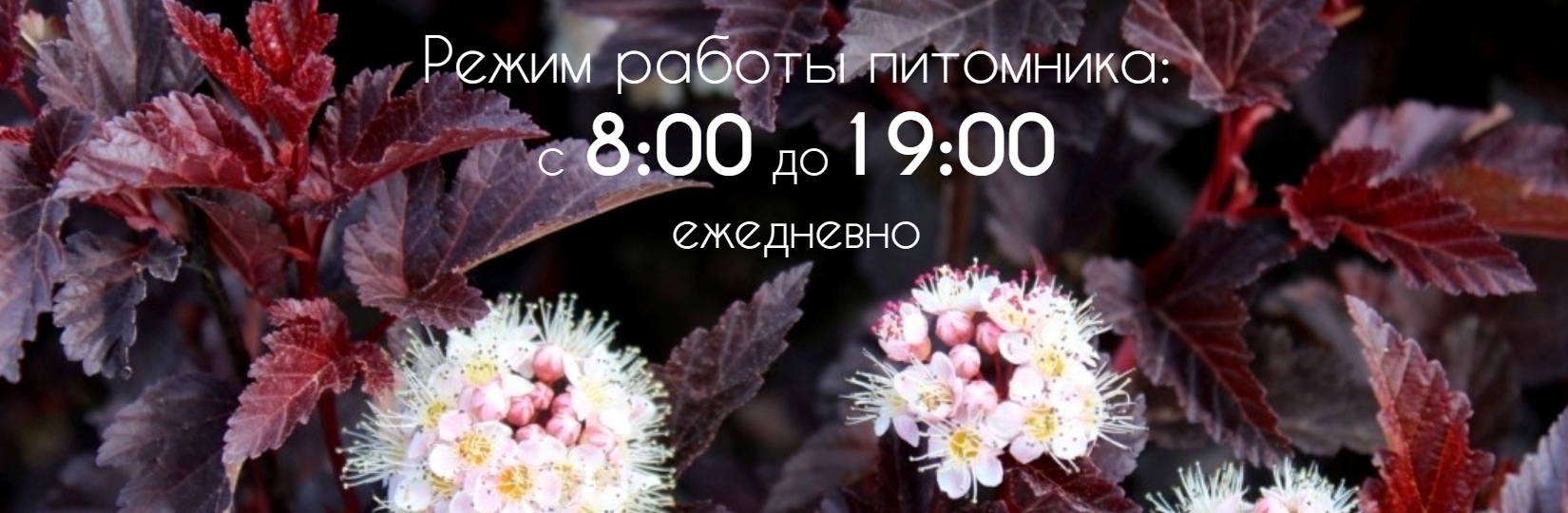 Весна_режим работы