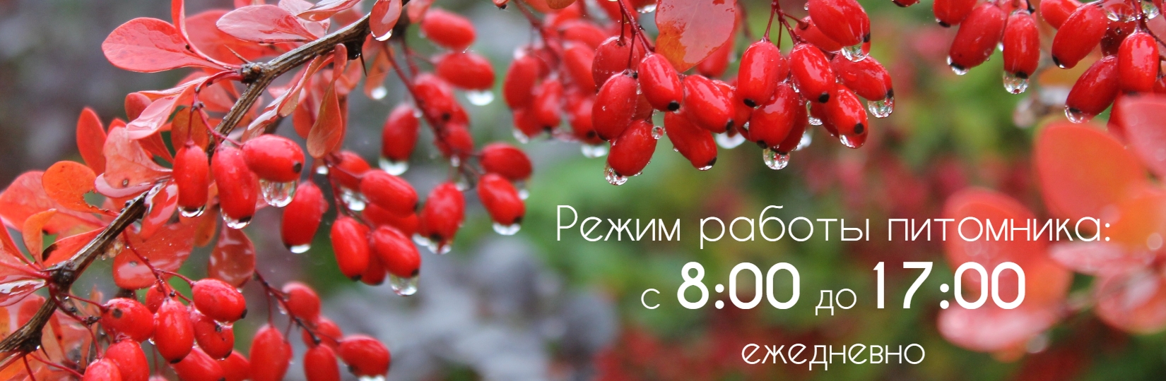 Весна_режим работы