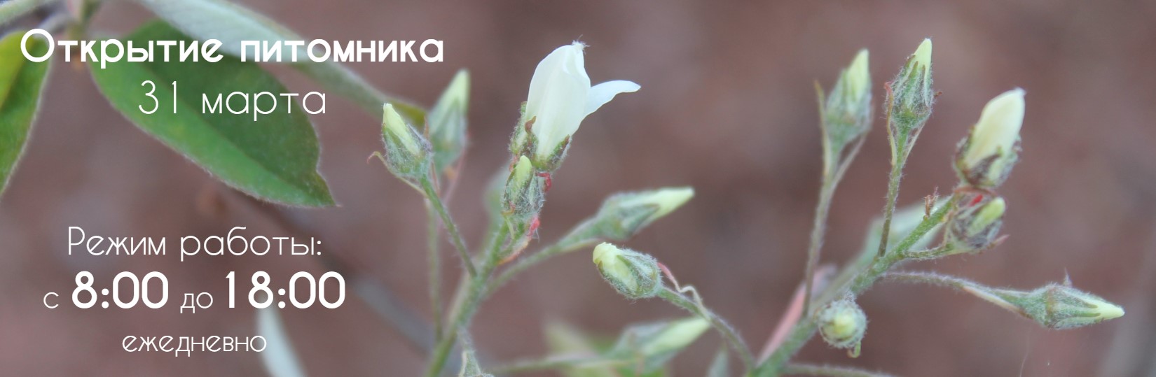 Весна_режим работы