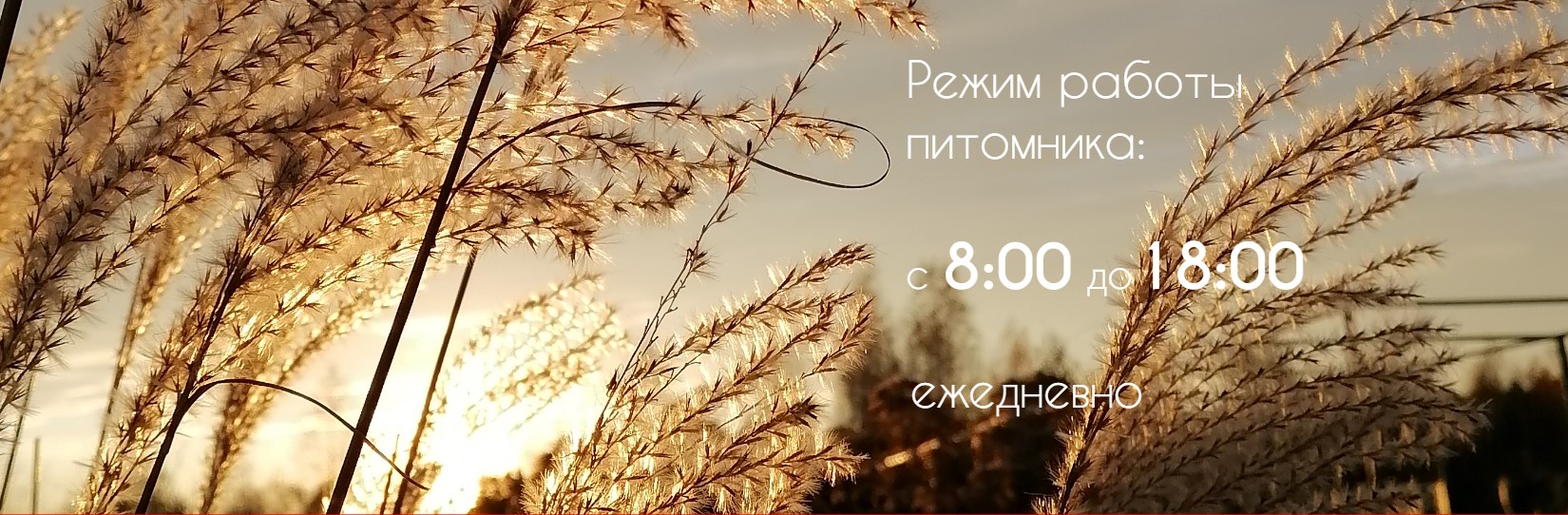 Весна_режим работы