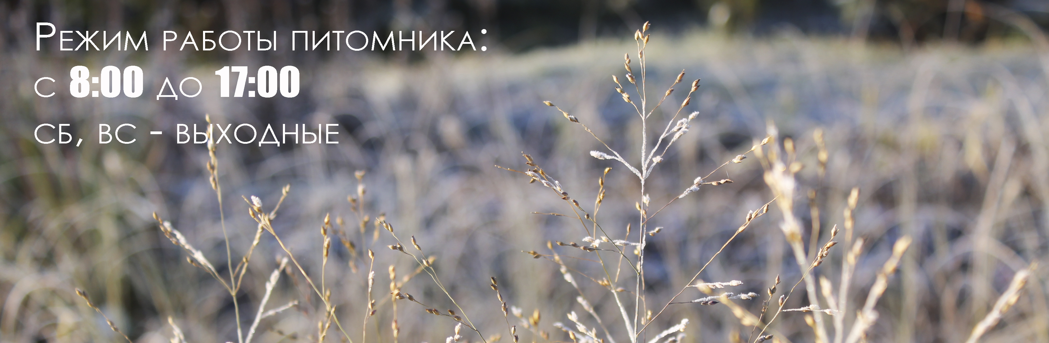 Весна_режим работы